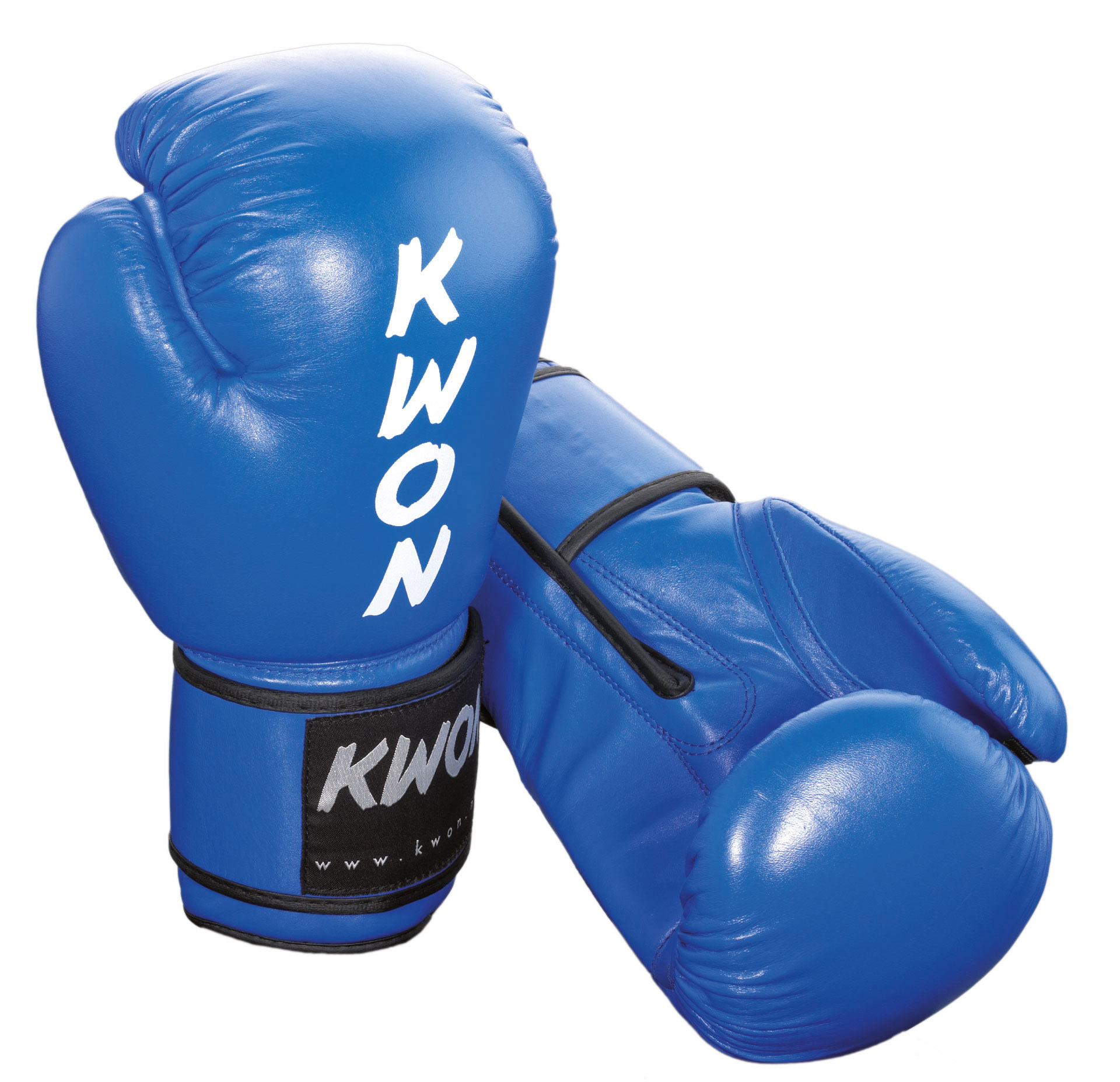 Gants de boxe Ergo Champ