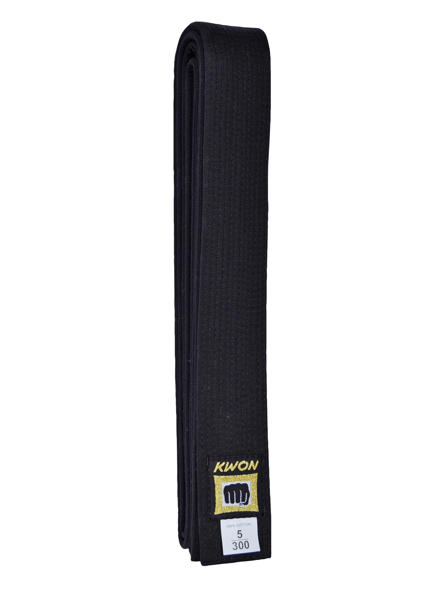 Ceinture noire, ceinture Master