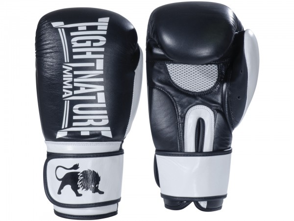 Gants de boxe FIGHTNATURE Sparring