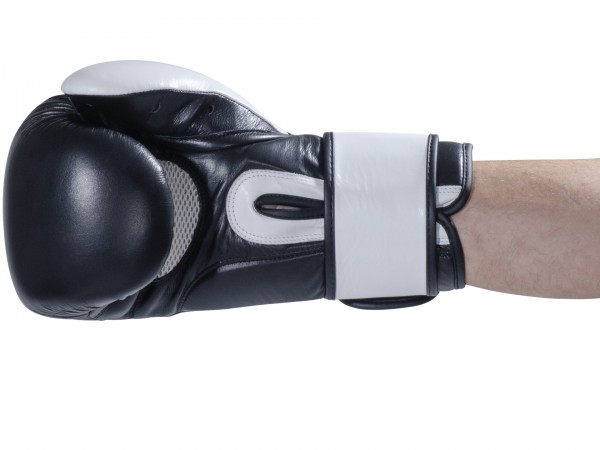 Gants de boxe FIGHTNATURE Sparring