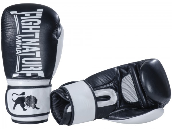 Gants de boxe FIGHTNATURE Sparring