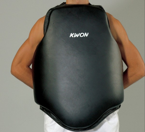 Bouclier de Poitrine Repulse