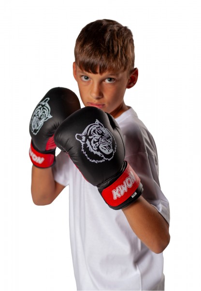 Gants de Boxe Tiger junior