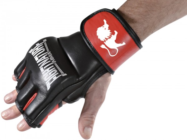 FIGHTNATURE MMA Gants cuir